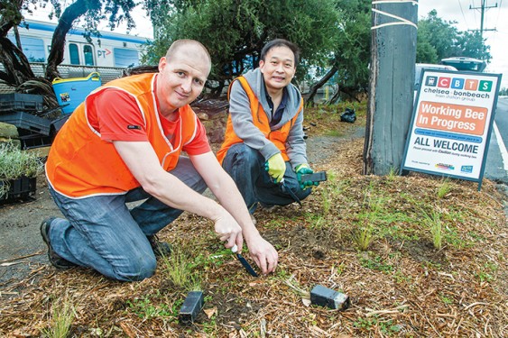 Chelsea and Bonbeach Train Station Group members Wade Ransby and Po Woon planting shrubs at Bonbeach. Picture: Gary Sissons