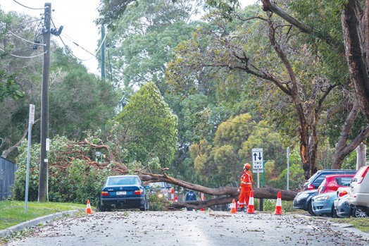 Storm damage: Above, Chelsea SES were called to remove at tree that had fallen onto cars and blocked traffic in Brisbane Terrace, next to St John Vianney Primary School during Tuesday’s storm. Picture: Gary Sissons