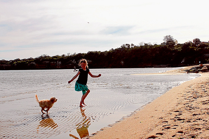 Splish splash: A successful year-long trial of an off-leash area along Mentone beach means dog owners can relax with their pets at all times. Picture: Tracey Cheeseman