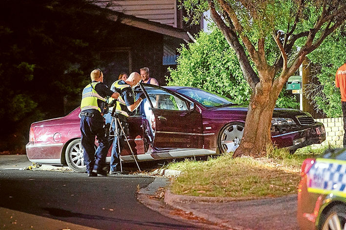 Aftermath: Police inspect the stolen Holden Statesman after the dramatic arrests. The car was wedged between a tree and a brick fence. Picture: Gary Sissons
