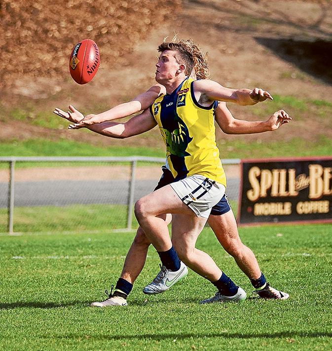 Under 19’s Sharks attack: Nepean Sharks beat Yarra Ranges by 63 points. Picture: Andrew Hurst