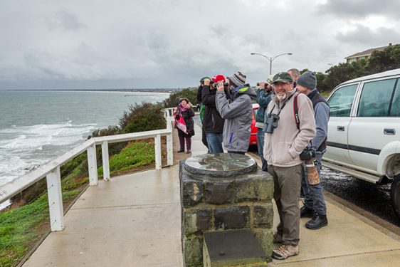 Bird Watchers Olivers Hill: This was just a few of the many Twitchers that turned up at Oliver's Hill Frankston to see if they could spot the Great Frigatebird that was cruising around the day before.