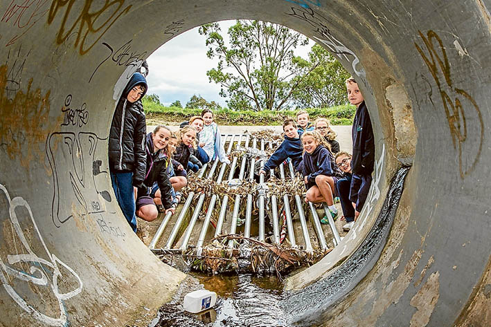 What a dump: Pupils from schools, including Mentone Grammar, above right, witness rubbish being pulled from a stormwater drain at Carrum Downs while an eel, far right, trapped in the dragnet is returned to the dam. Pictures: Gary Sissons