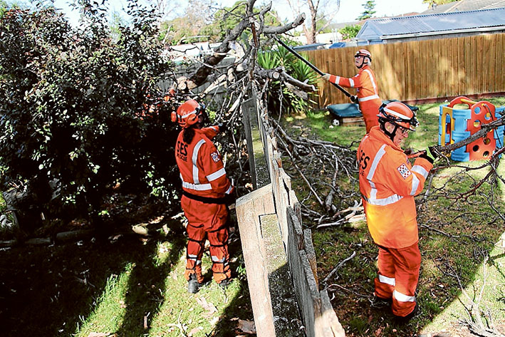 Here to help: SES crews got on with cleaning up storm damage last week. 