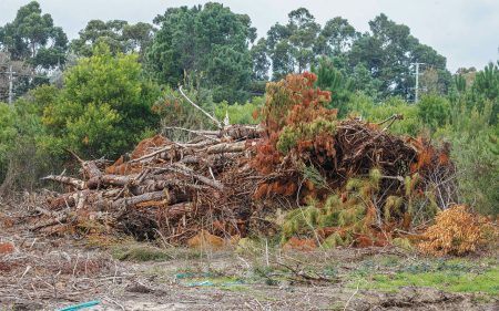 CLEARED land in the Green Wedge on McClelland Drive in Langwarrin. Picture: Gary Sissons