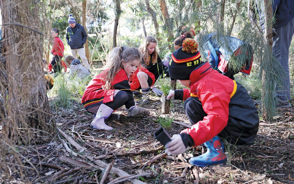 STUDENTS from Frankston Heights Primary School have taken part in National School Tree Day, planting dozens of trees at George Wallace Reserve.