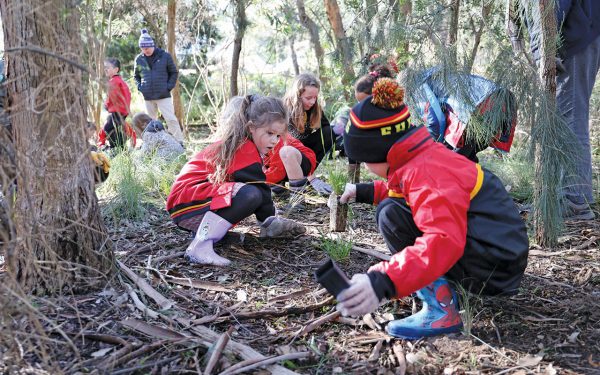 STUDENTS from Frankston Heights Primary School have taken part in National School Tree Day, planting dozens of trees at George Wallace Reserve.