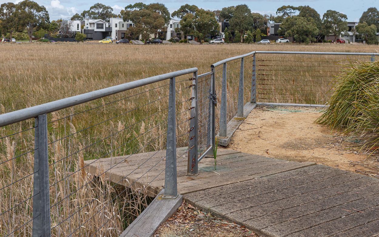 Epsom Conservation Reserve. Picture: Gary Sissons