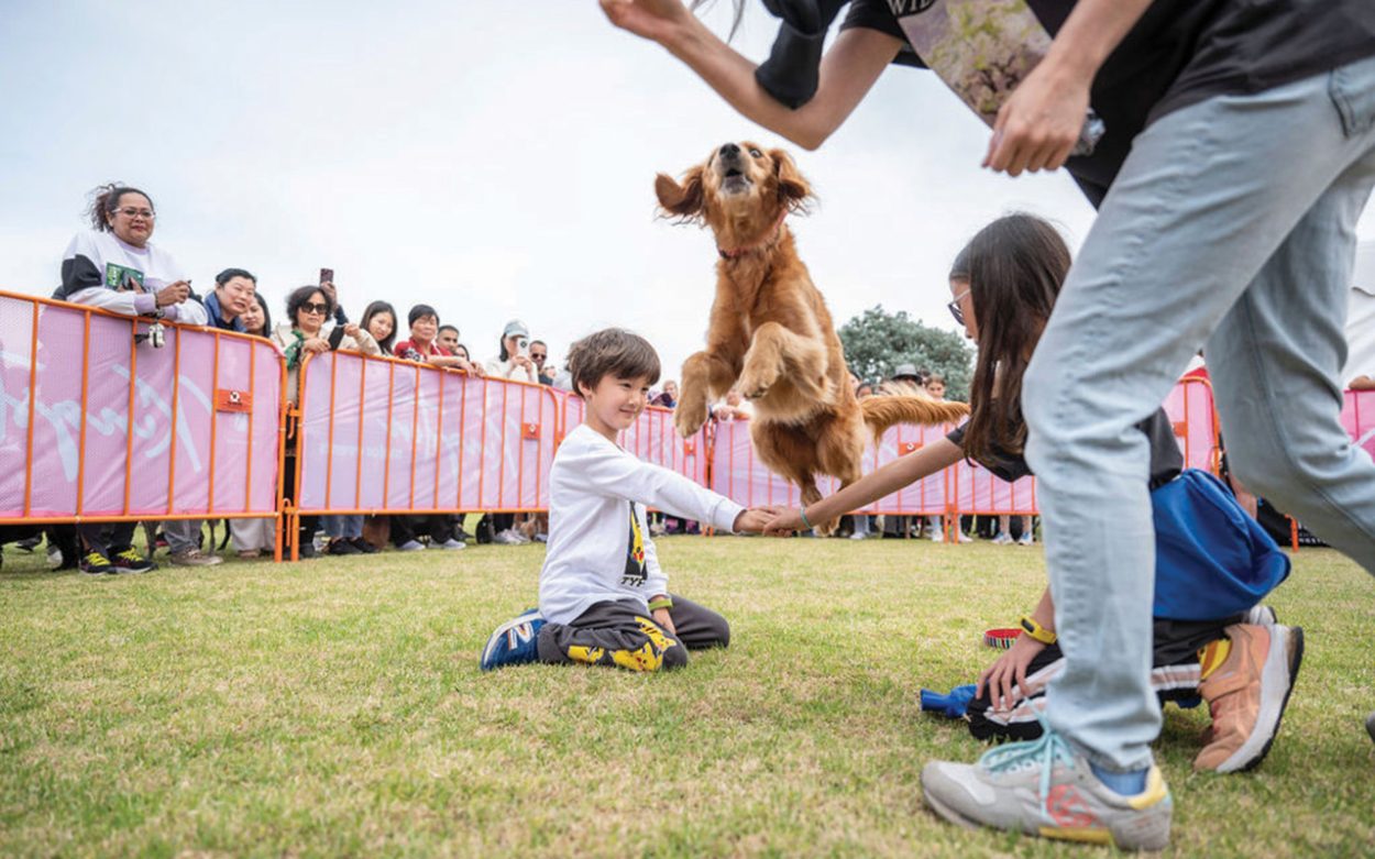 Kingston Pet Expo