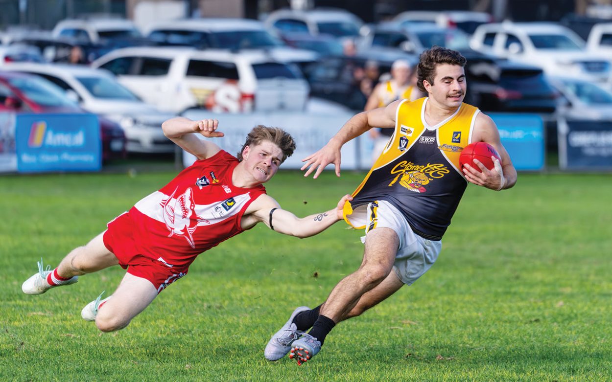 Stonecats continue strong start for 2026