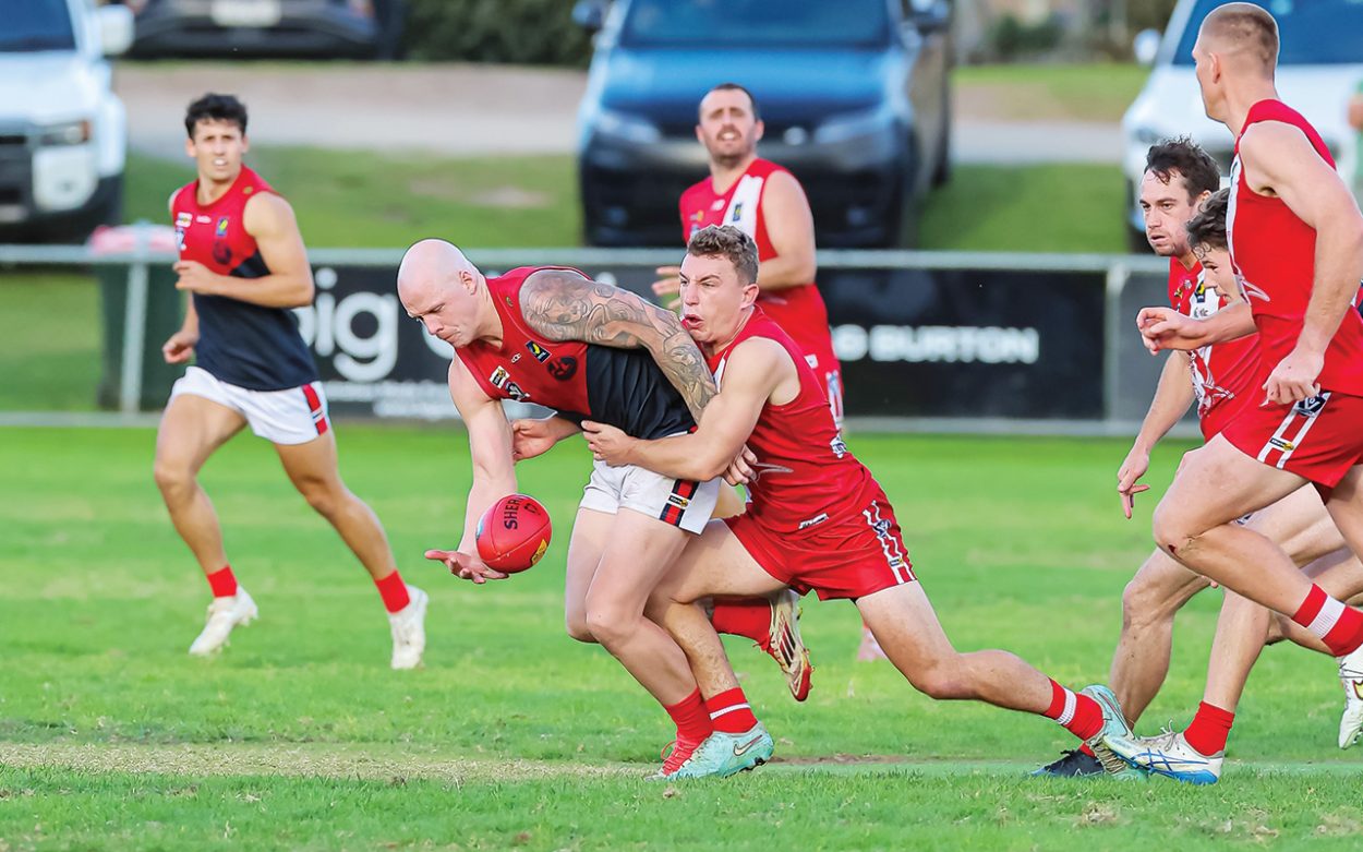 Rosebud undefeated after dispatching Stonecats
