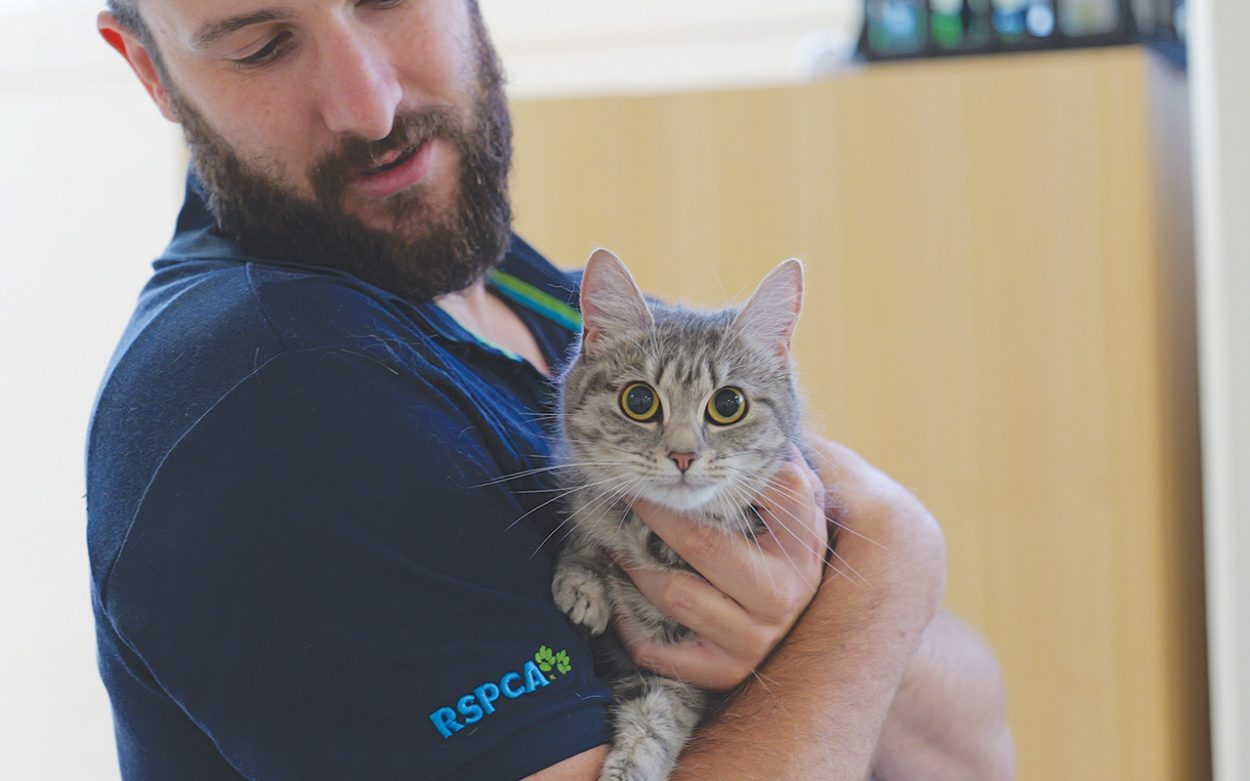 New program puts pets in the escape plan